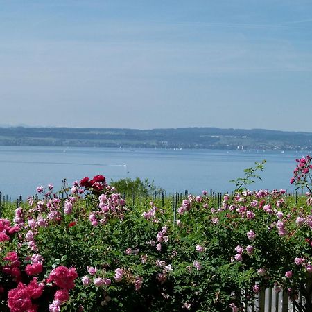 Abc Ferienwohnungen Abc Wohnung A Meersburg Buitenkant foto