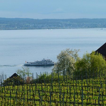 Abc Ferienwohnungen Abc Wohnung A Meersburg Buitenkant foto