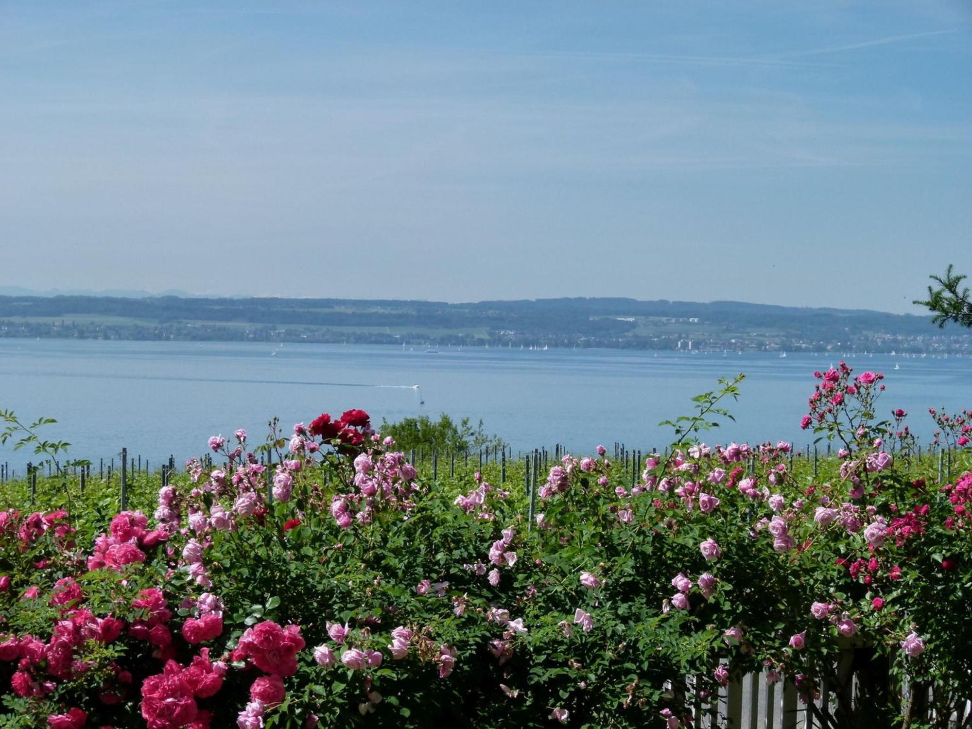 Abc Ferienwohnungen Abc Wohnung A Meersburg Buitenkant foto