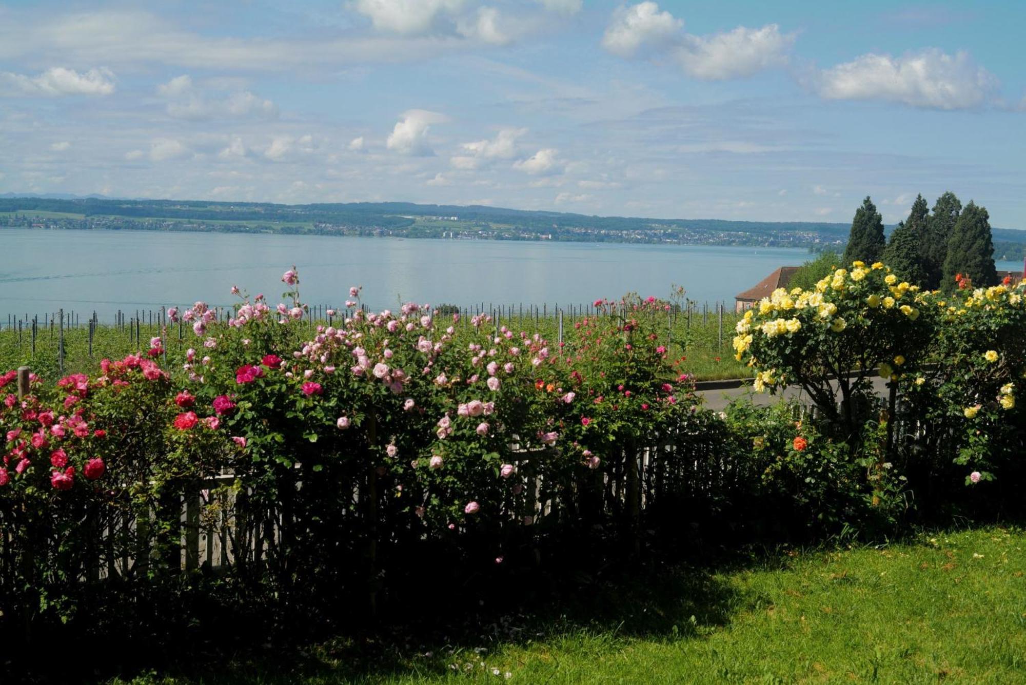 Abc Ferienwohnungen Abc Wohnung A Meersburg Buitenkant foto